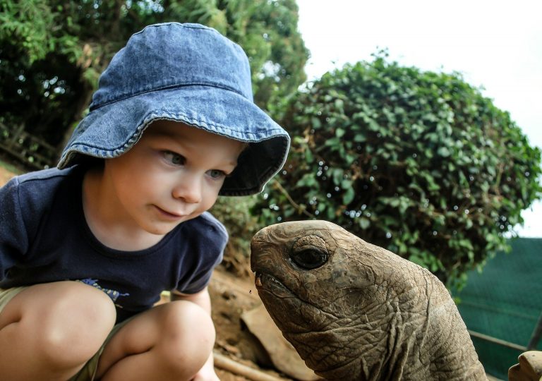 Junge mit Schildkröte - jung und alt